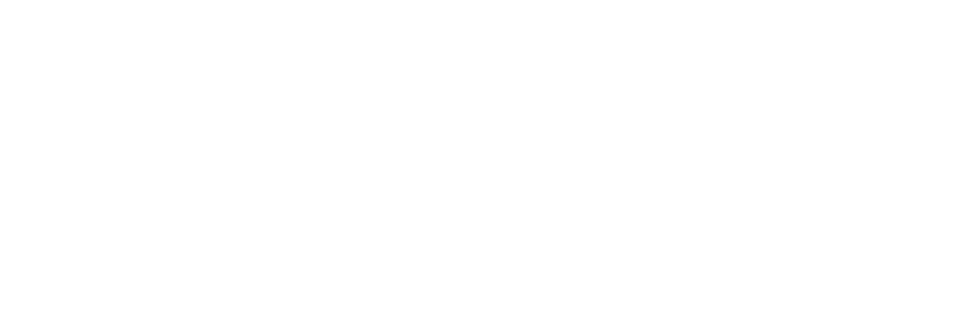 NRG Strips